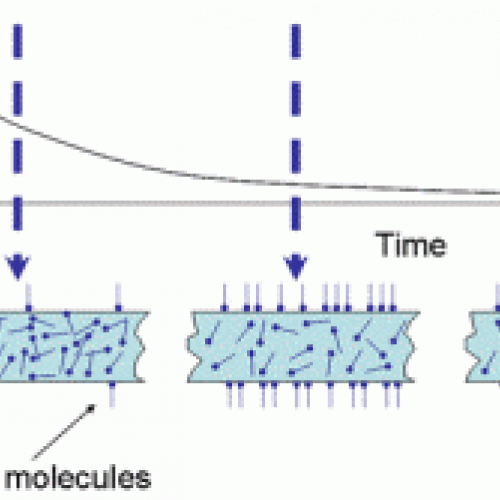 BỘT TĂNG TRƠN OLEAMIDE VÀ ERUCAMIDE KHÁC NHAU NHƯ THẾ NÀO?