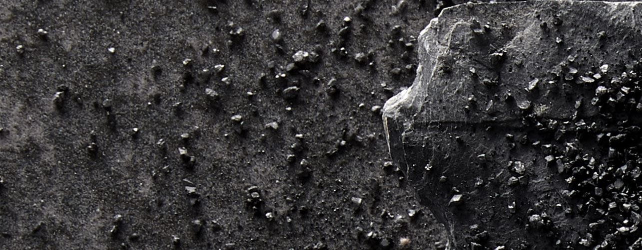 charcoal-ingredient-header-v2